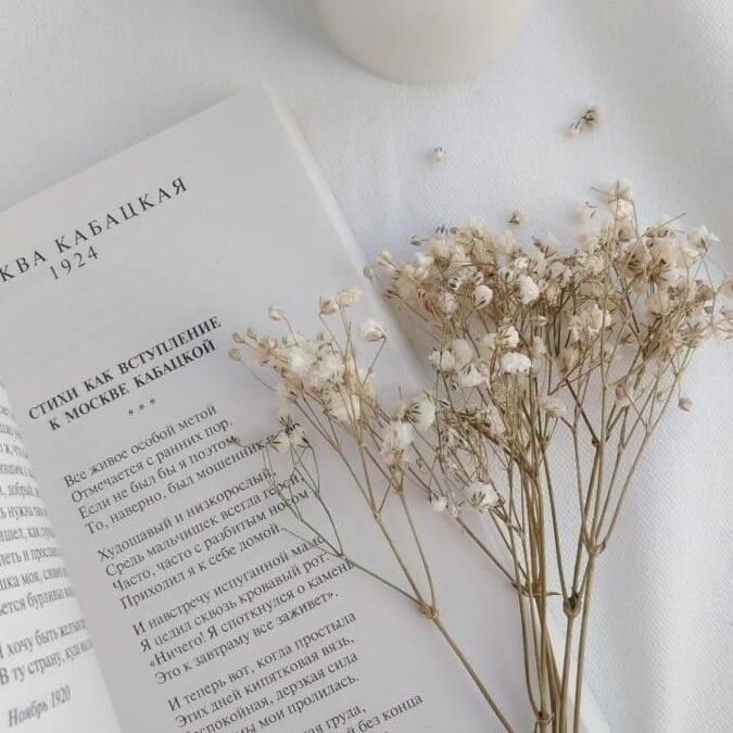 How to get new clients using Instagram