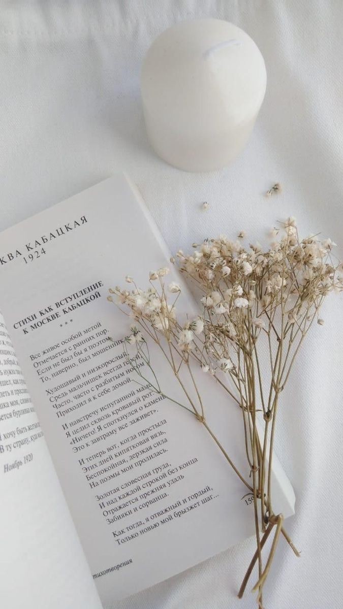 How to get new clients using Instagram